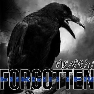 Meet your Posher, Rob